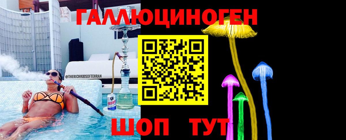 Галлюциногенные грибы Psilocybe Вольск