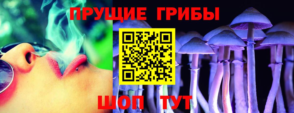 наркотики  Вход с VPN  Вольск  Псилоцибиновые грибы Magic Shrooms  Галлюциногенные грибы Psilocybine cubensis 