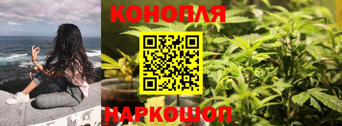 Шишки марихуана ГИДРОПОН  Вход с VPN  Вольск  Бошки Шишки конопля 